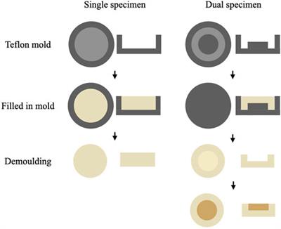 Effects of background color and restoration depth on color adjustment potential of a new single-shade resin composite versus multi-shade resin composites
